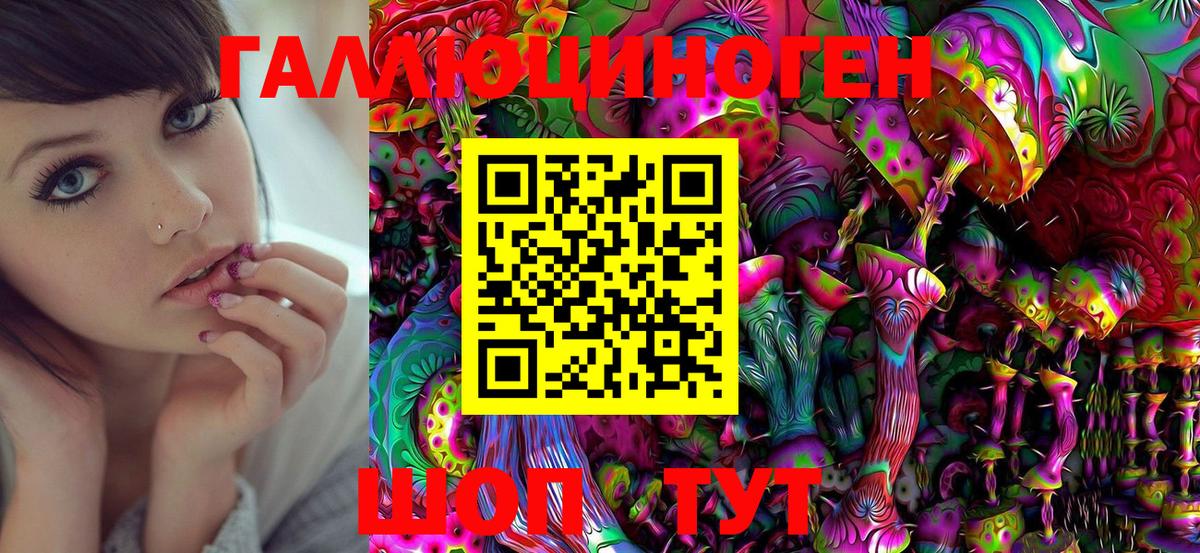 Псилоцибиновые грибы GOLDEN TEACHER Нижний Новгород